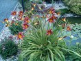 /album/realizacie1/img-20140711-174321-jpg/