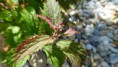 /album/realizacie1/p1010685-jpg/